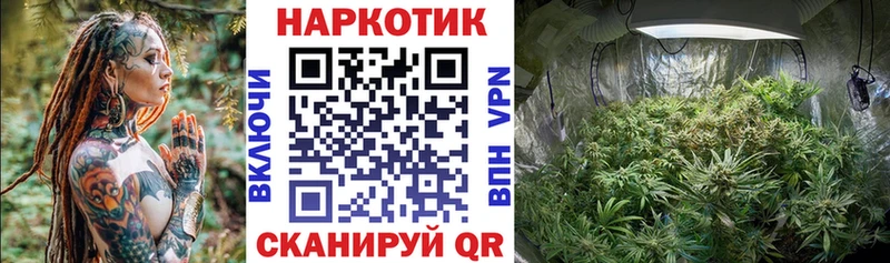 Купить Канабис  Мефедрон  Alpha-PVP  ГАШ  COCAIN  Купино