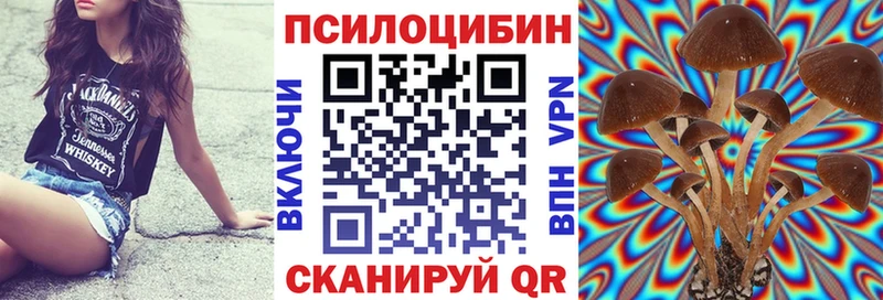 Купить закладки  Купино  Галлюциногенные грибы прущие грибы 