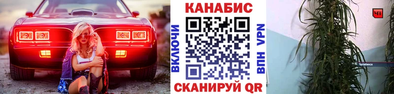 Купить  Купино  Канабис MAZAR 
